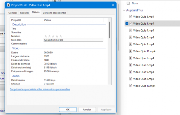 Bitrate vertification