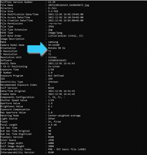 Metadata
